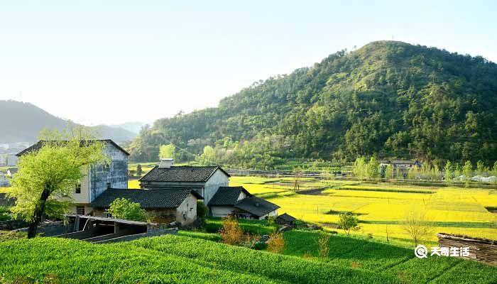 四时田园杂兴描写的是什么季节