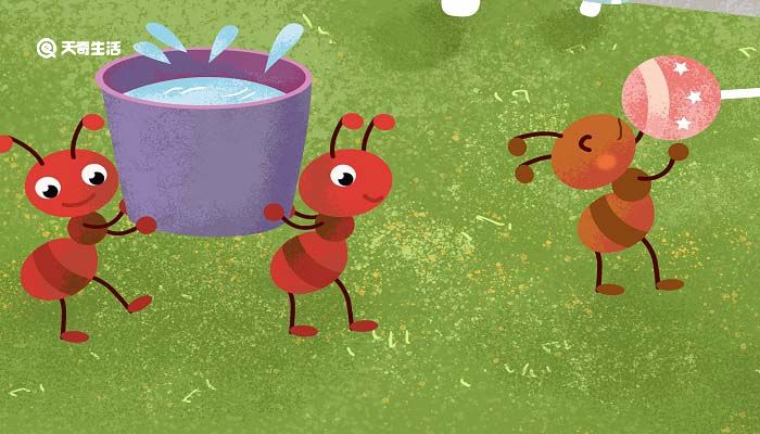 蚂蚁和蜜蜂的故事告诉我们什么道理