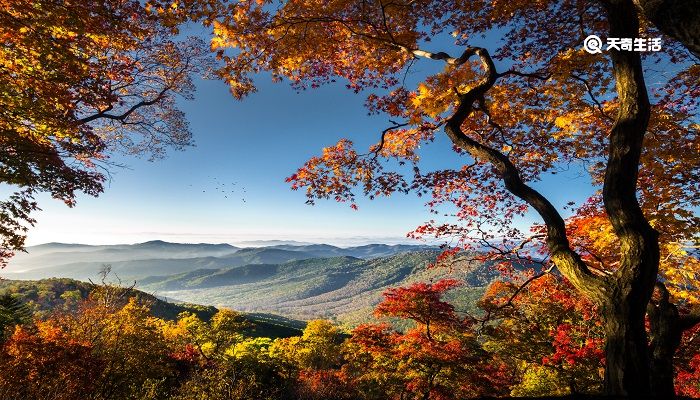 今逢四海为家日,故垒萧萧芦荻秋对应西塞山的是