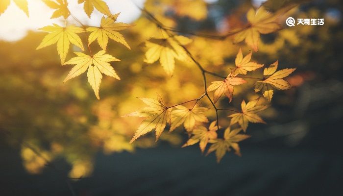 今逢四海为家日,故垒萧萧芦荻秋对应西塞山的是