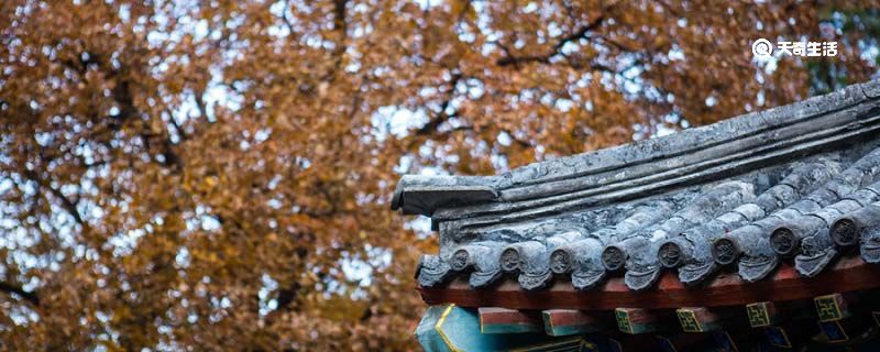 今逢四海为家日,故垒萧萧芦荻秋对应西塞山的是