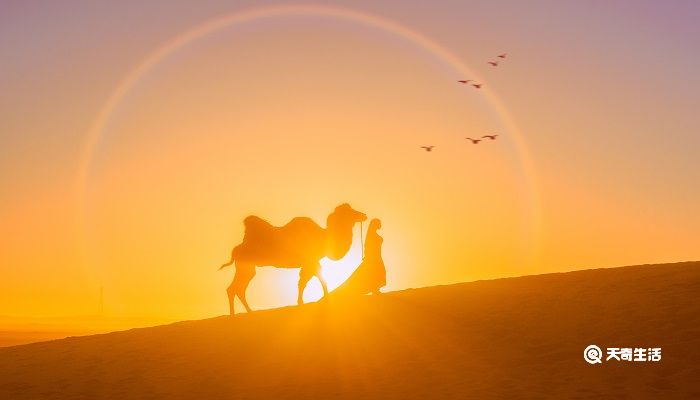 骆驼和马的故事告诉我们什么道理