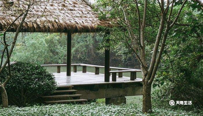 茅屋为秋风所破歌背景