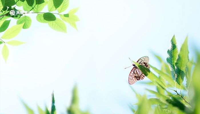 風(fēng)景還在,人卻已非什么意思