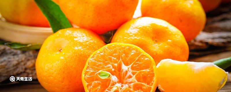 橘生淮南则为橘出自哪里