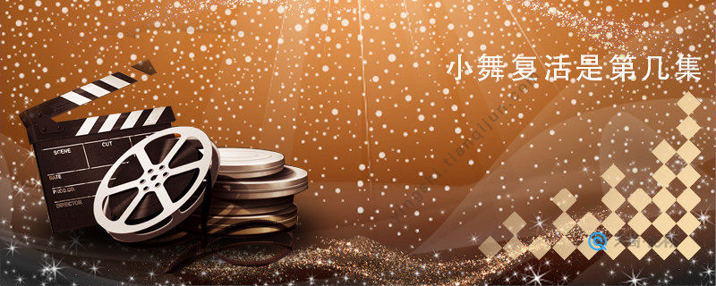 小舞复活是第几集