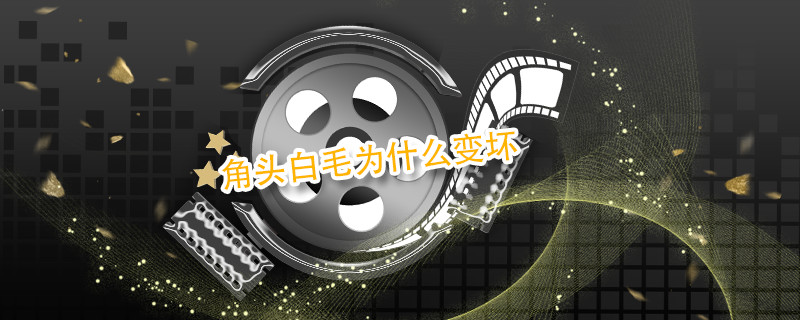 角头白毛为什么变坏