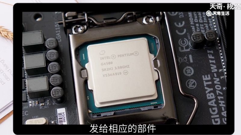 cpu的作用是啥，CPU的主要作用是什么