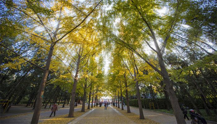 國慶旅游好去處