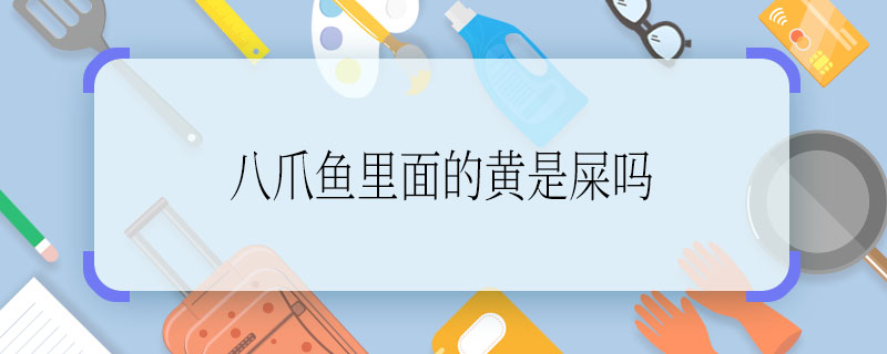 八爪魚里面的黃是屎嗎 八爪魚里的黃是排泄物嗎