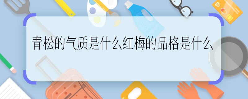 青松的气质是什么红梅的品格是什么 青松的品质