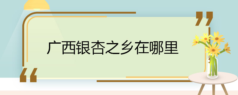 廣西銀杏之鄉(xiāng)在哪里 銀杏之鄉(xiāng)是哪個地方