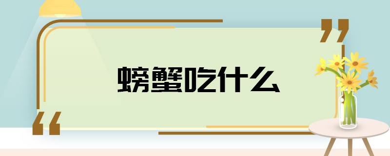 螃蟹吃什么 螃蟹主要吃什么