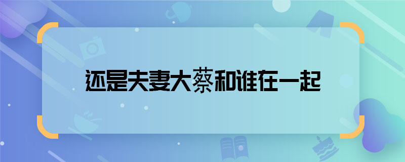 還是夫妻大蔡和誰在一起 還是夫妻大蔡結局是什么