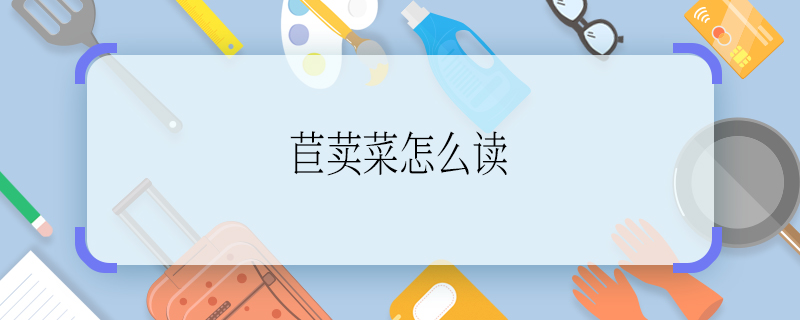 苣荬菜怎么读 苣荬菜如何读
