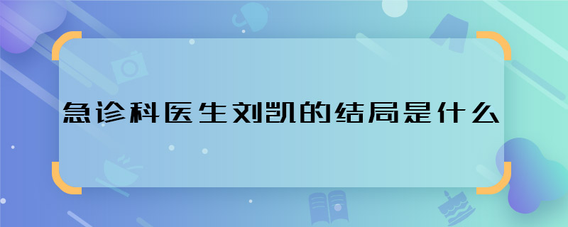 急诊科医生刘凯的结局是什么 急诊科医生刘凯最后怎样了