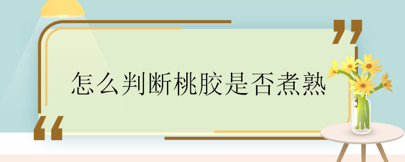 怎么判斷桃膠是否煮熟 怎么看桃膠是不是煮熟了