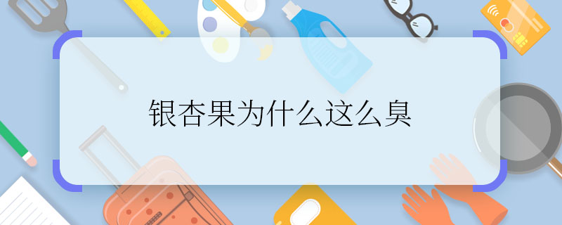 银杏果为什么这么臭 银杏果为什么很臭