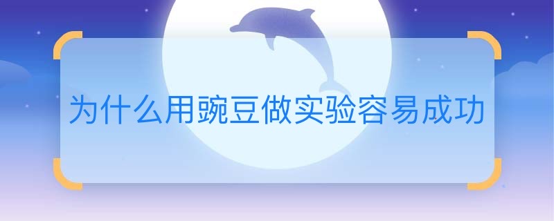 为什么用豌豆做实验容易成功 用豌豆做实验容易成功的原因是什么