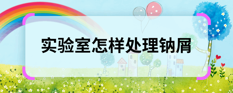 实验室怎样处理钠屑 实验室怎么处理钠屑