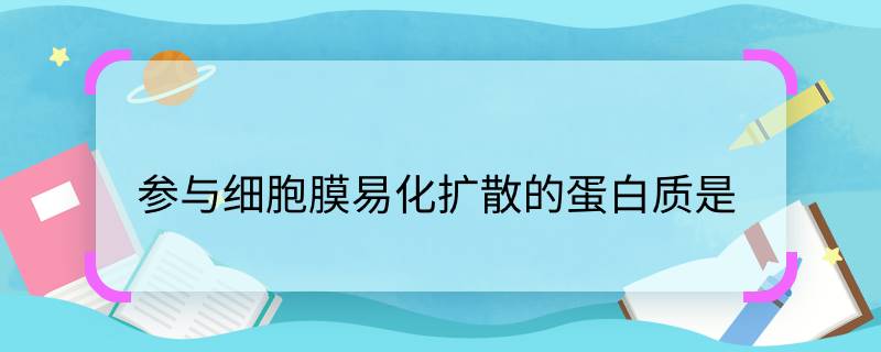 参与细胞膜易化扩散的蛋白质是 参与细胞膜易化扩散的蛋白质是什么