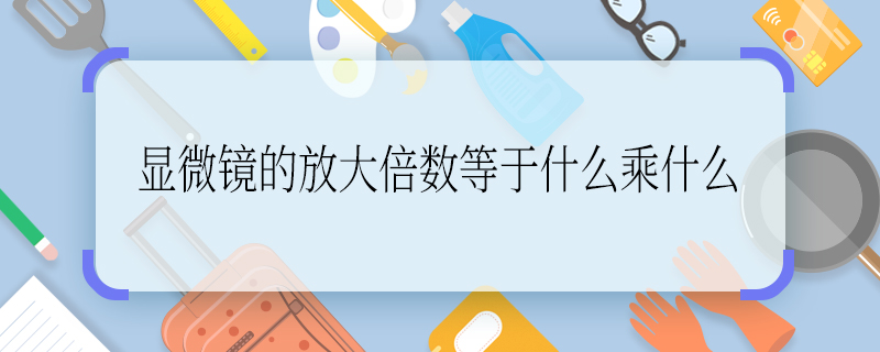 显微镜的放大倍数等于什么乘什么 显微镜的放大倍数怎么算