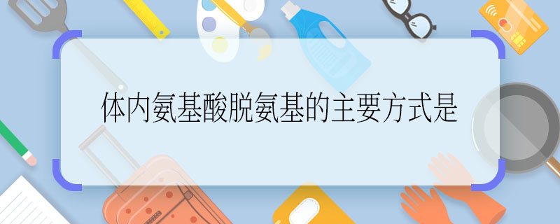 体内氨基酸脱氨基的主要方式是 体内氨基酸脱氨基的主要方式是什么