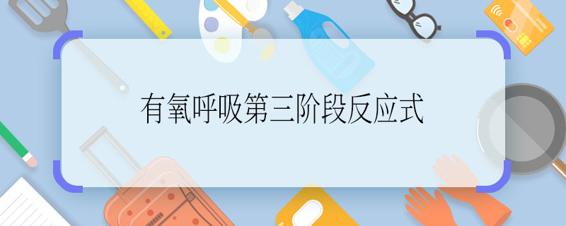 有氧呼吸第三阶段反应式  有氧呼吸第三阶段反应式是什么