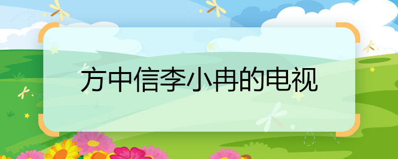 方中信李小冉的电视 方中信李小冉的电视名称