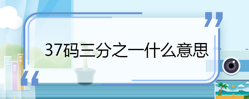 37码三分之一什么意思 37码三分之一的意思