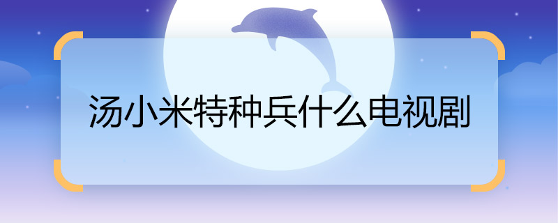 湯小米特種兵什么電視劇 湯小米特種兵的電視劇是什么