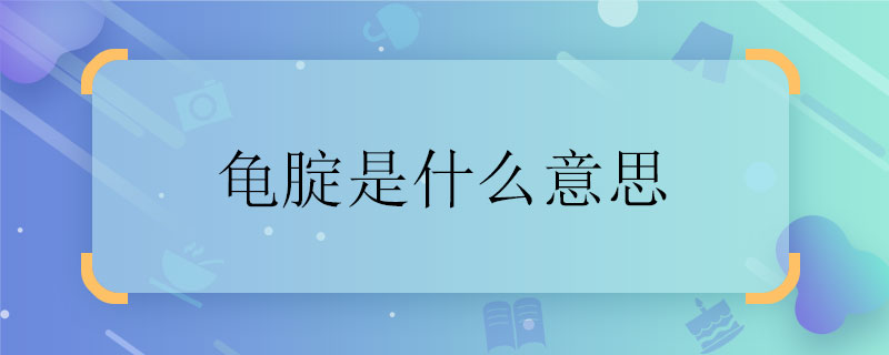 龟腚是什么意思