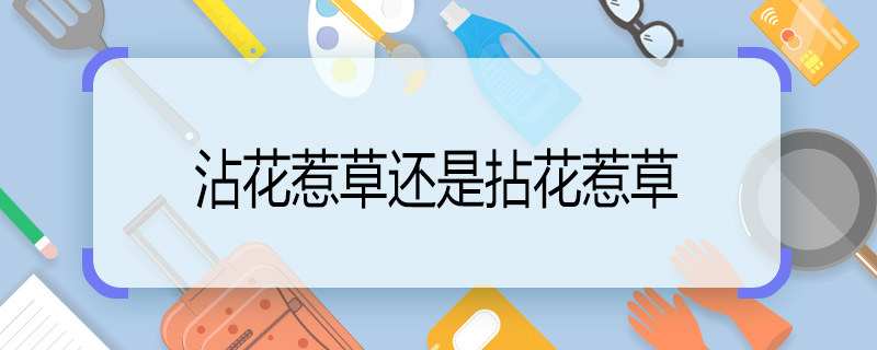 沾花惹草还是拈花惹草 沾花惹草还是拈花惹草