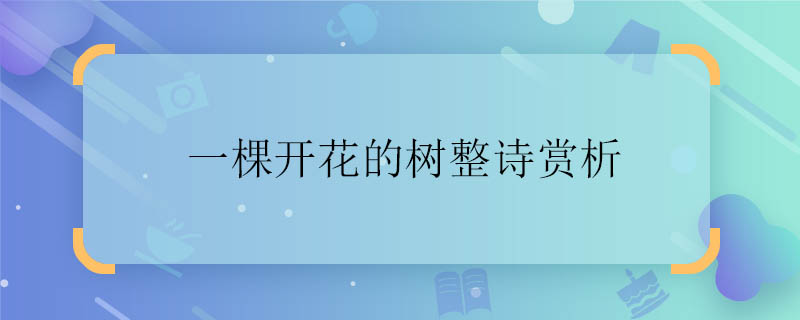 一棵开花的树整诗赏析 一棵开花的树文章的意思