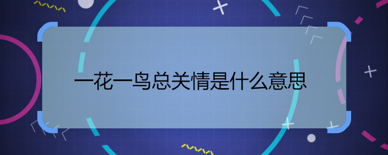 一花一鸟总关情是什么意思 一花一鸟总关情出自哪里
