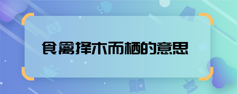 食禽择木而栖的意思 食禽择木而栖的意思