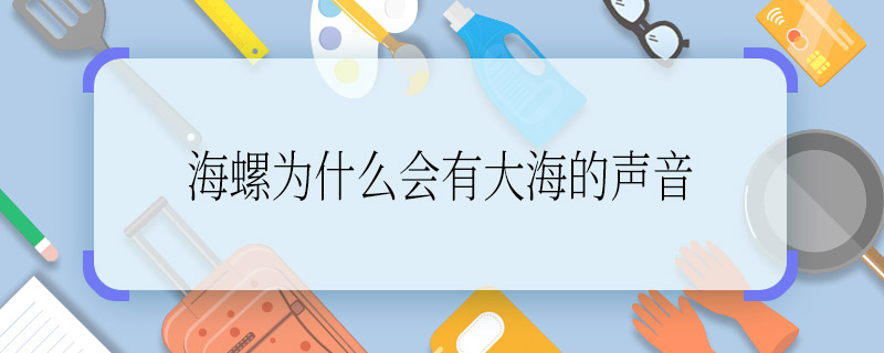 海螺为什么会有大海的声音 海螺放在耳朵上为什么有声音