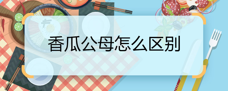 香瓜公母怎么区别  香瓜如何分公母