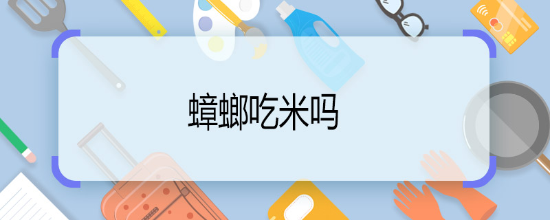 蟑螂吃米嗎  蟑螂會吃生米嗎