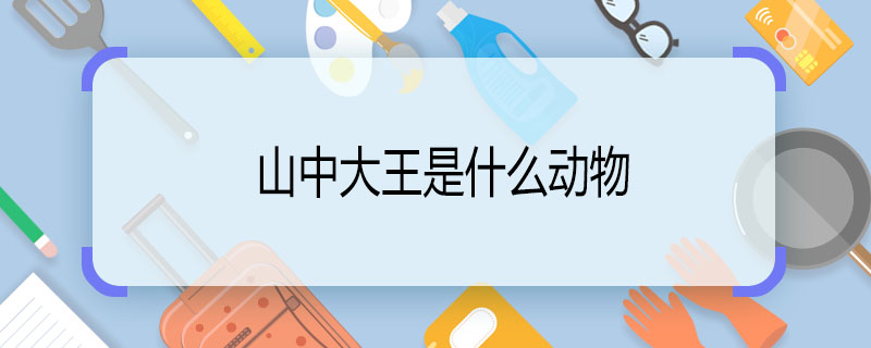 山中大王是什么動物 山中大王是什么