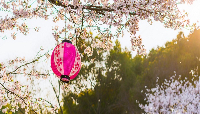 “你若安好便是晴天”的意思是如果你快樂(lè)愉悅，那么對(duì)于我來(lái)說(shuō)也是同樣的，我的世界因你的愉悅而感到晴朗。這句話(huà)出自作家白落梅的著名人物傳記，即《你若安好便是晴天》，該作品講述的是才女林徽因一生的傳奇故事。.jpg