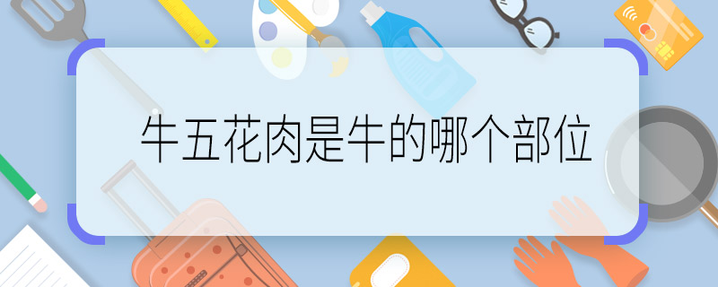 牛五花肉是牛的哪个部位 牛五花肉是哪个位置的肉