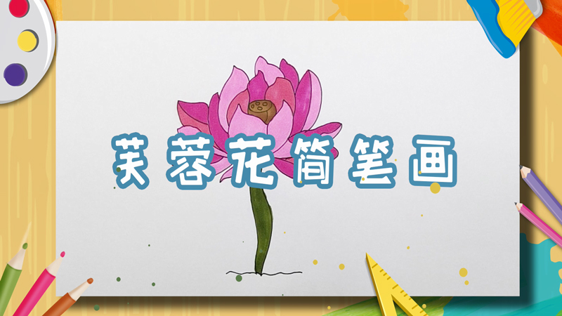 芙蓉花简笔画