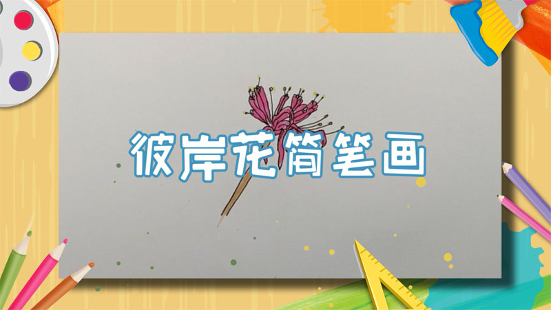 彼岸花简笔画