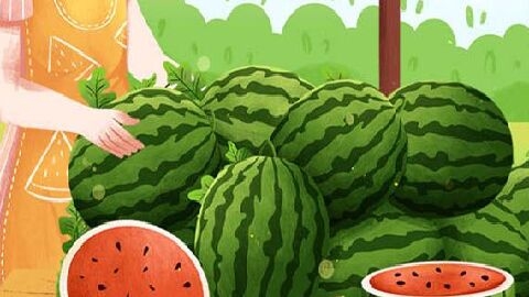西瓜的品种有哪些