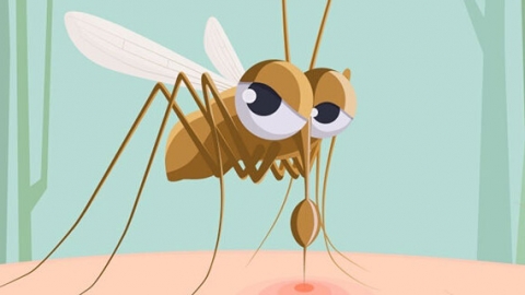 开空调可以驱蚊吗 开空调能驱蚊吗