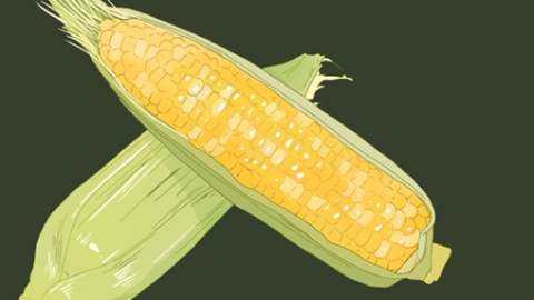 玉米里的虫子叫什么 玉米里的虫子是什么