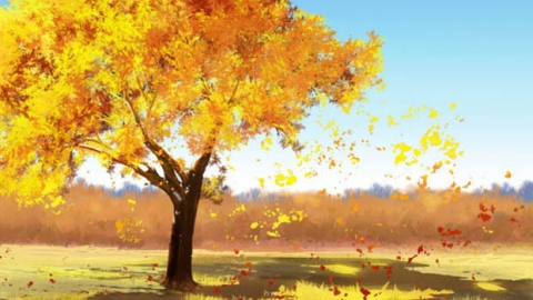 形容秋天的句子 形容秋天的句子有哪些