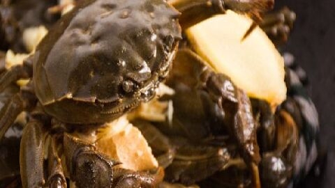 螃蟹不能和哪些食物一起吃