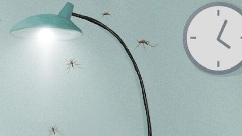 蚊子为什么喜欢灯光 蚊子为什么喜欢灯光原因